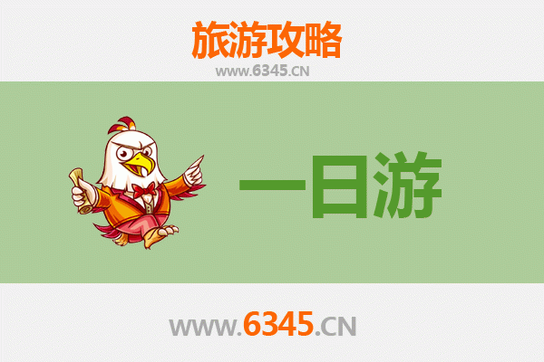 菏泽定陶一日游攻略：古韵新风，沉浸式文化体验