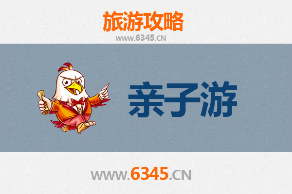 菏泽定陶亲子游攻略：探索历史与自然的家庭乐趣