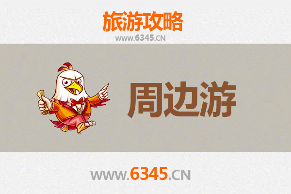 菏泽定陶周边游攻略：探索古曹国文化，畅游鲁西南风情