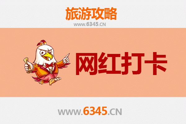 菏泽定陶网红打卡地全攻略：古韵新风，拍照圣地推荐