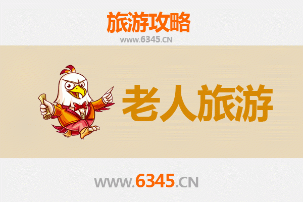菏泽定陶银发之旅：慢游古韵水邑，乐享康养时光