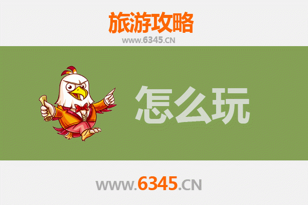 节假日菏泽定陶深度游攻略：古韵汉风与生态休闲之旅